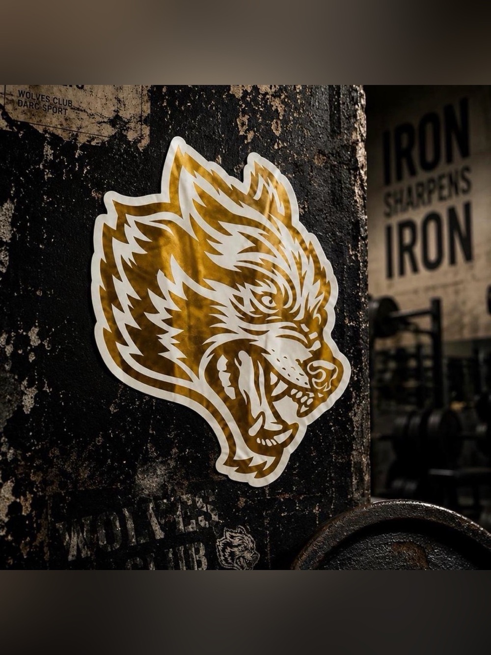 Darc Sport Mirror/Glossy Sticker - 4"×5"